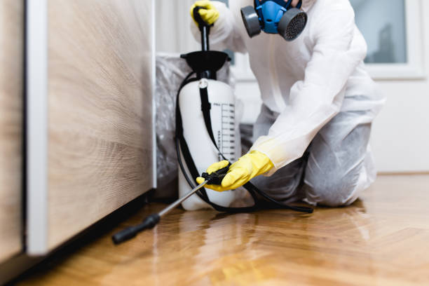 Best Affordable Pest Control Services  in Culloden, WV