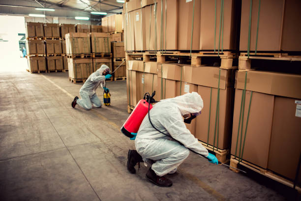 Best Local Pest Control Services  in Culloden, WV