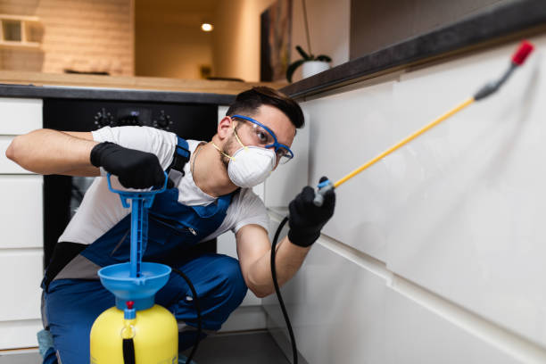 Best Mosquito Control Services  in Culloden, WV
