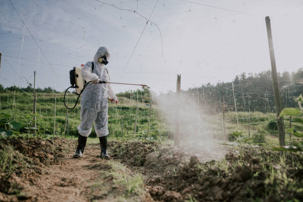 Pest Prevention Services in Culloden, WV