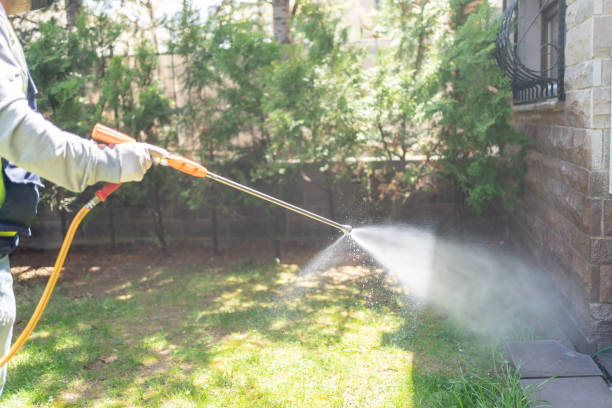 Professional Pest Control in Culloden, WV