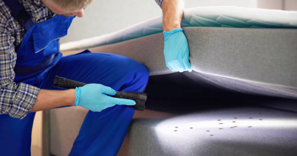 Best Pest Prevention Services  in Culloden, WV