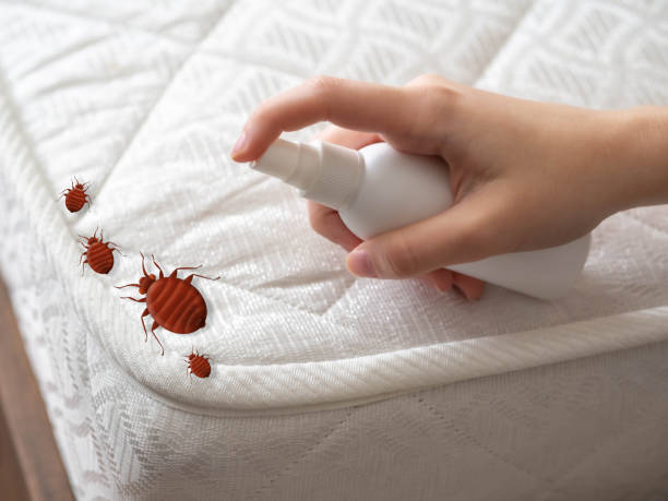 Best Insect Control  in Culloden, WV
