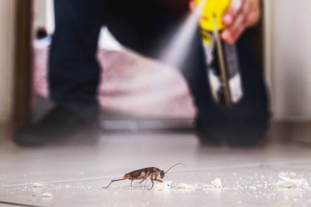 Wildlife Control Services in Culloden, WV