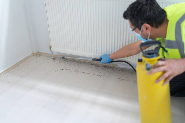 Best Pest Control for Homes  in Culloden, WV