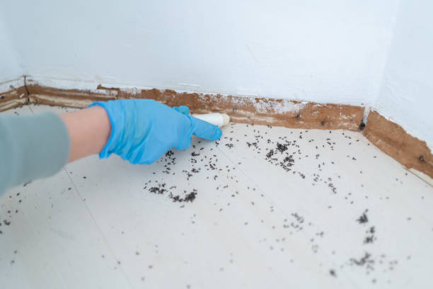 Best Best Pest Control Companies  in Culloden, WV