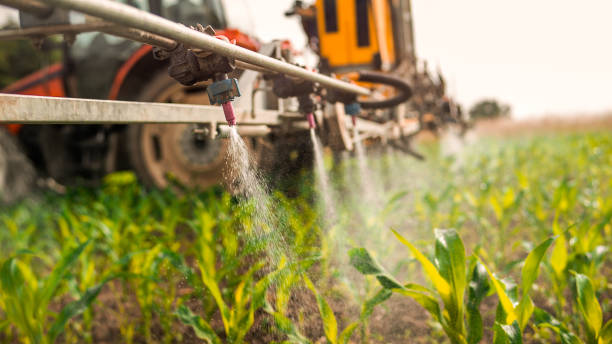 Best Pest Control Cost  in Culloden, WV